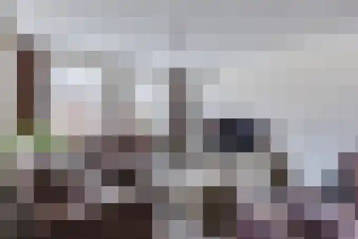 Helleneind 3 Bladel thumbnail 10