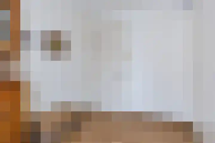 Helleneind 3 Bladel thumbnail 20