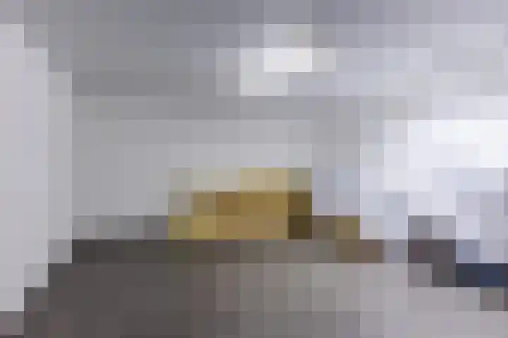 Helleneind 3 Bladel thumbnail 26
