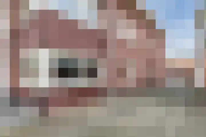 Helleneind 3 Bladel thumbnail 28