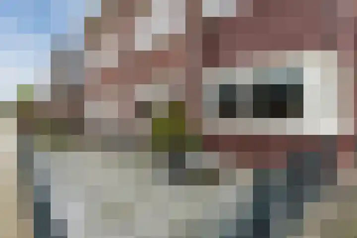 Helleneind 3 Bladel thumbnail 33