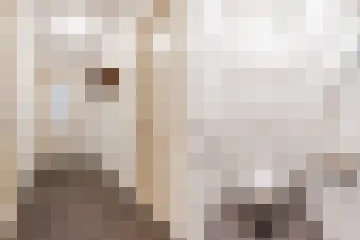 Helleneind 3 Bladel thumbnail 9