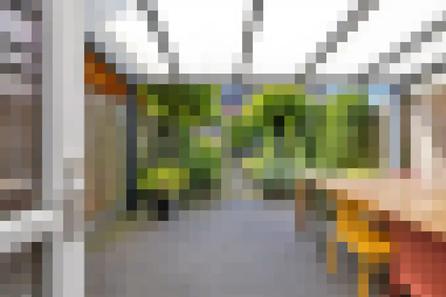 Helleneind 48 Bladel thumbnail 44
