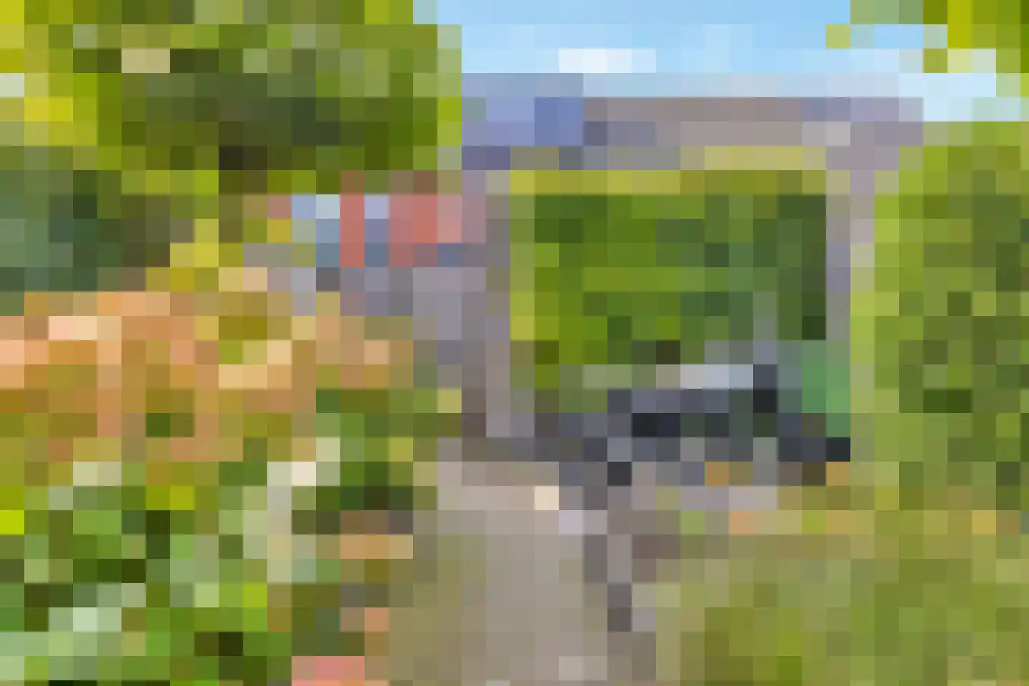 Helleneind 48 Bladel thumbnail 47