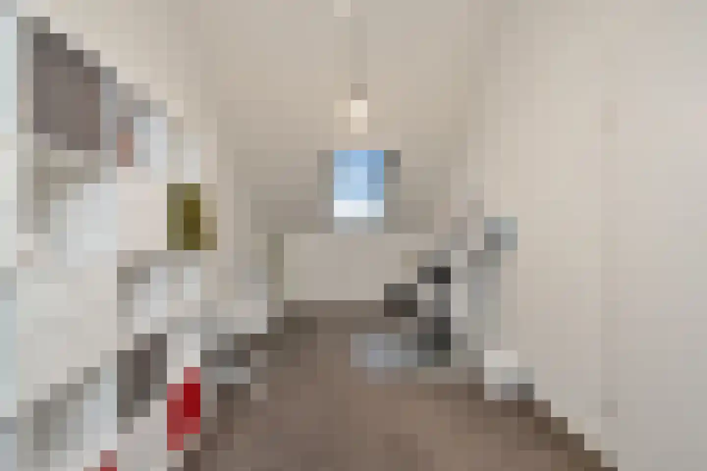Helleneind 48 Bladel thumbnail 7