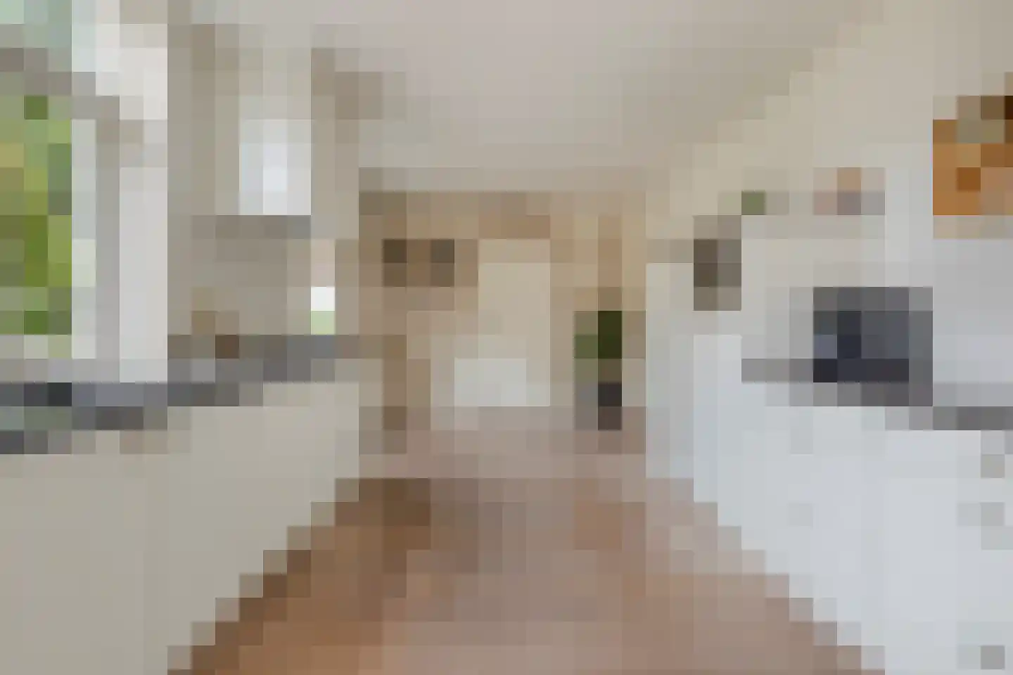 Helleneind 6 Bladel thumbnail 11