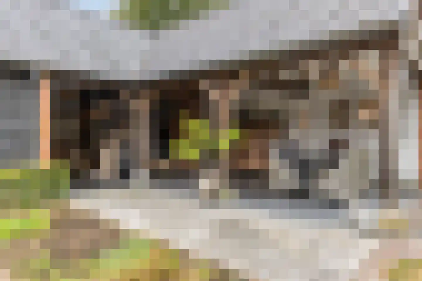 Helleneind 6 Bladel thumbnail 48