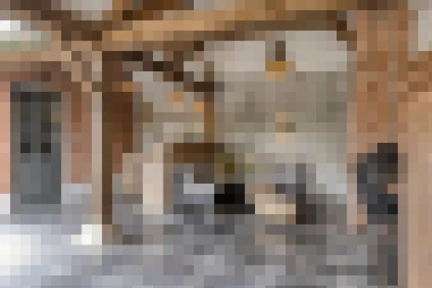 Helleneind 6 Bladel thumbnail 49