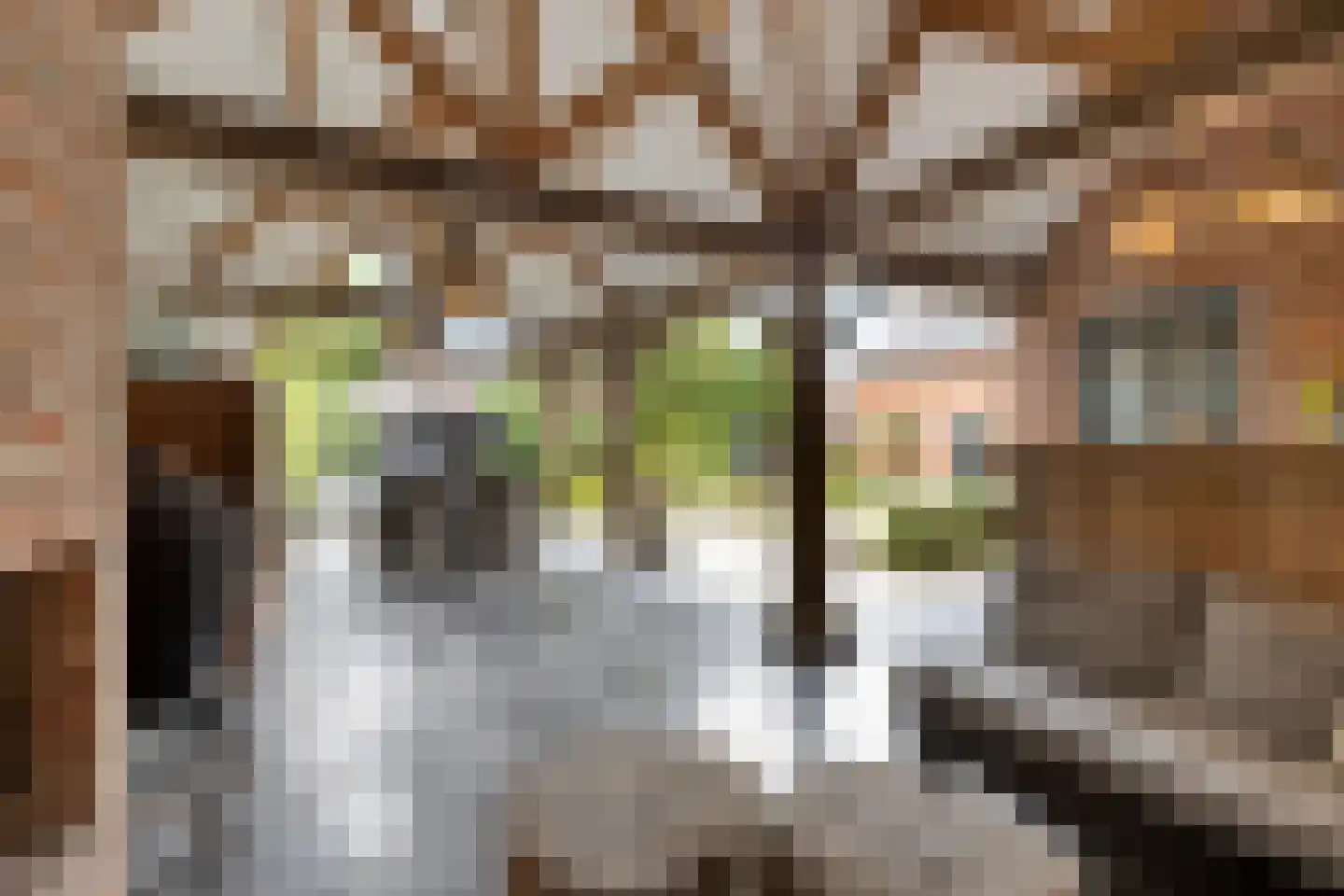 Helleneind 6 Bladel thumbnail 50