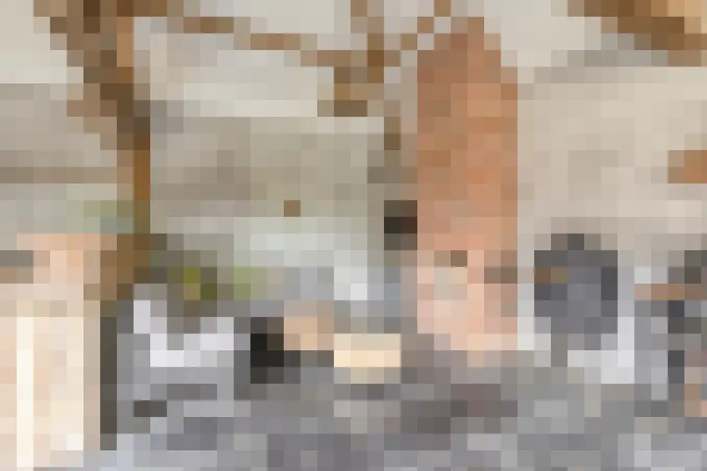 Helleneind 6 Bladel thumbnail 51