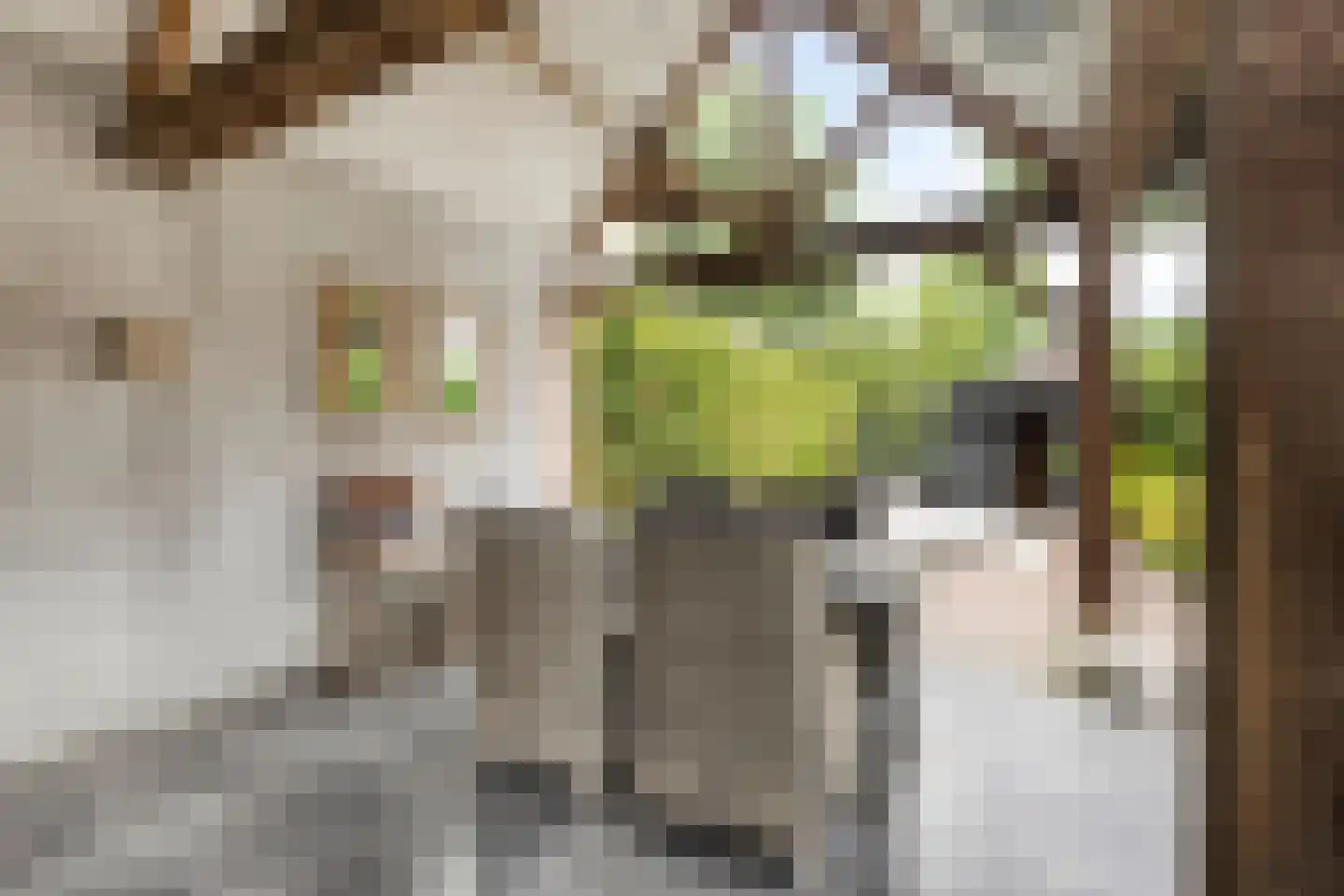 Helleneind 6 Bladel thumbnail 52