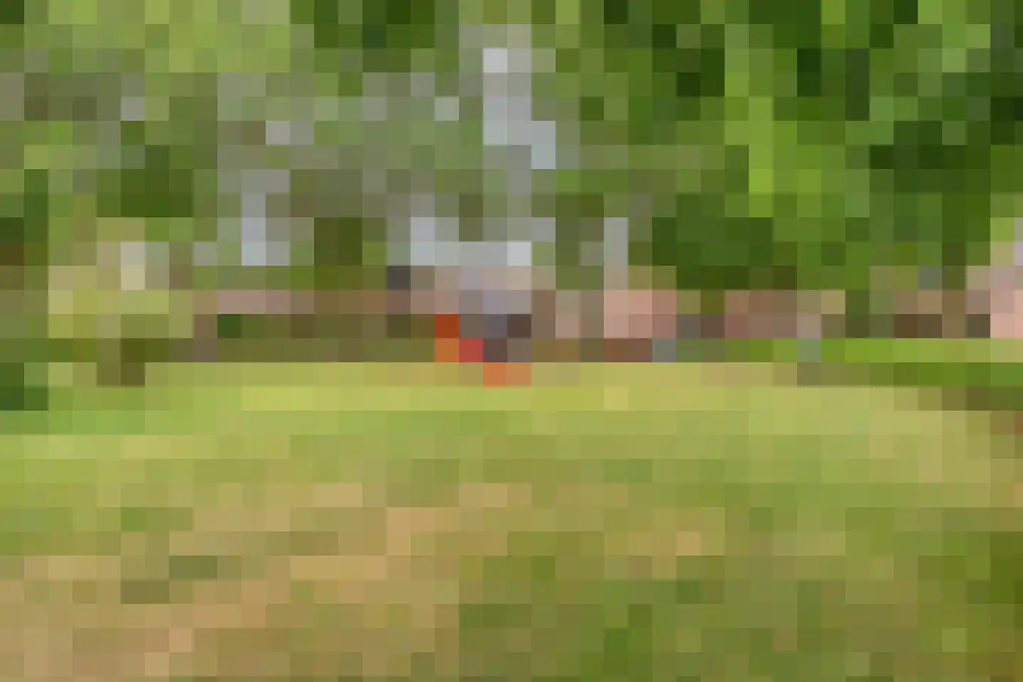 Hellenweg 12 Goirle thumbnail 50