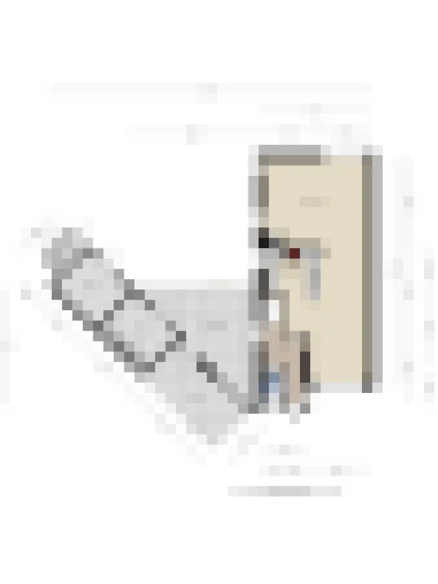 Hellenweg 12 Goirle thumbnail 51