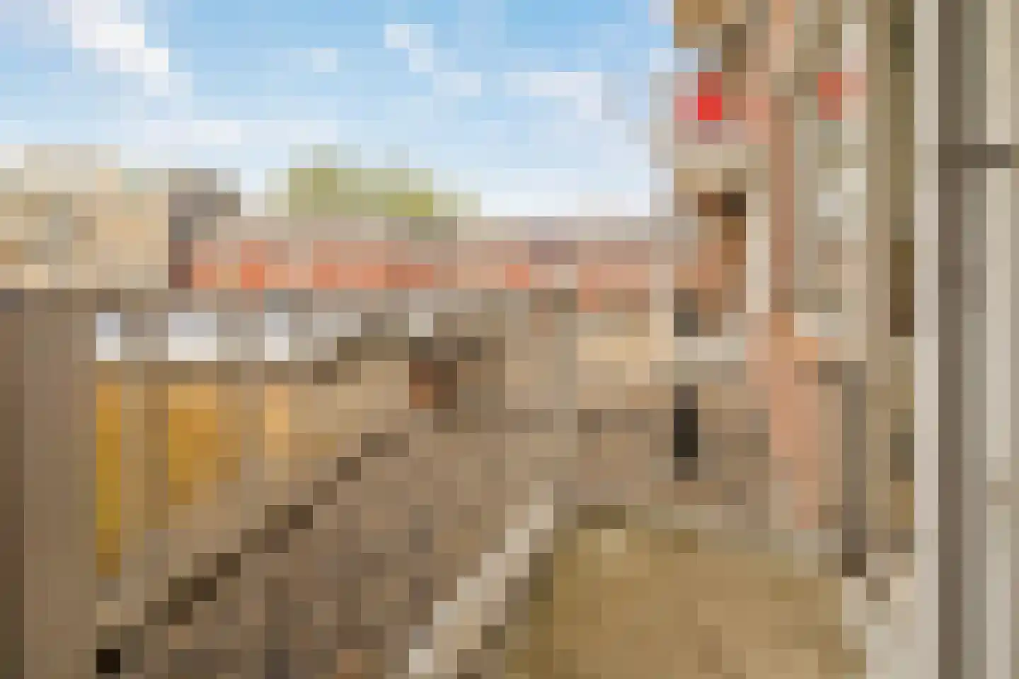 Hellevoetstraat 67 Rotterdam thumbnail 21