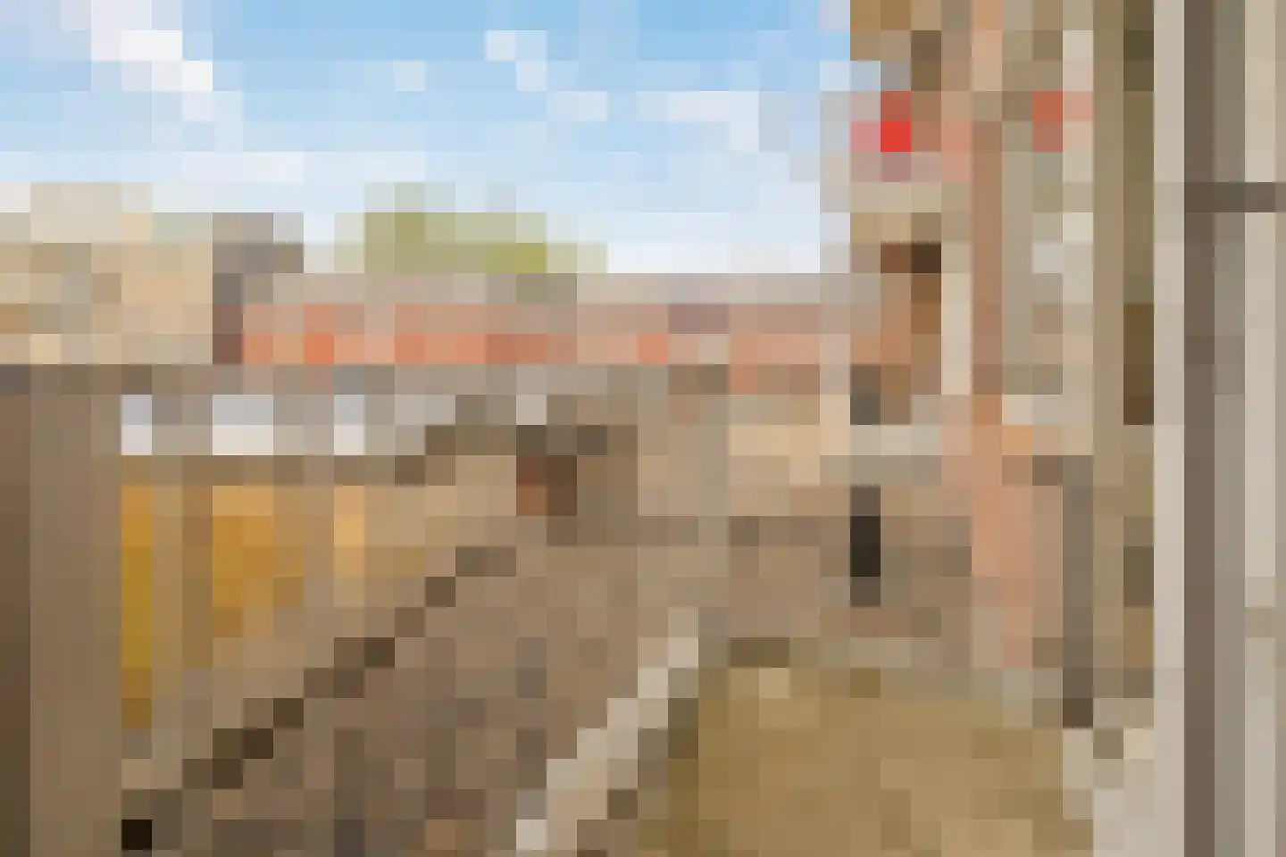 Hellevoetstraat 67 Rotterdam thumbnail 21