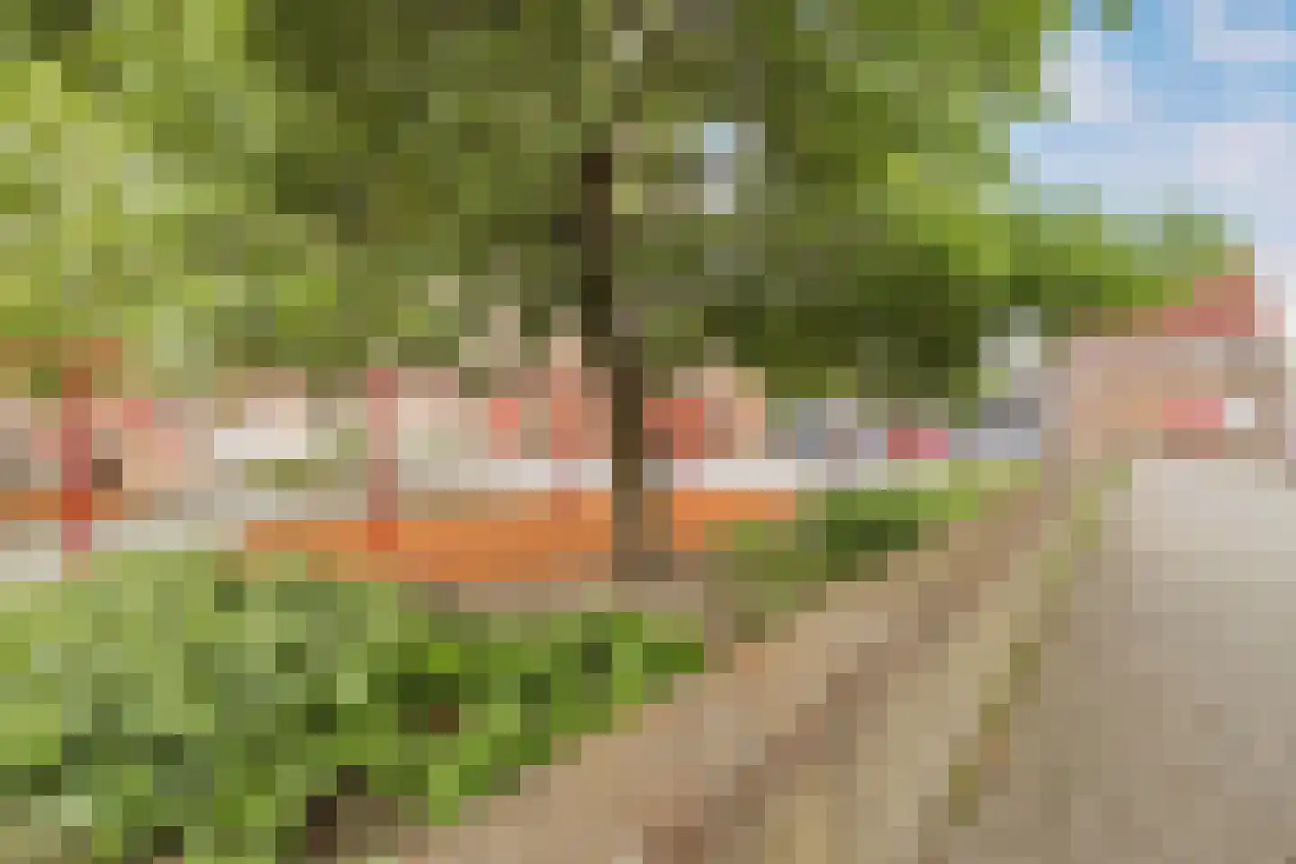 Hellevoetstraat 67 Rotterdam thumbnail 22