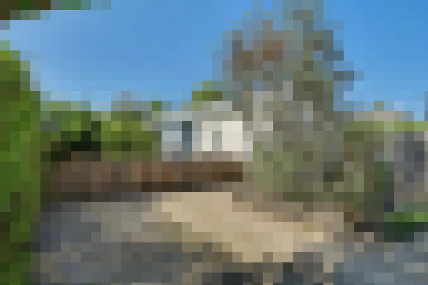 Helleweg 8 0002 Noordwelle thumbnail 6