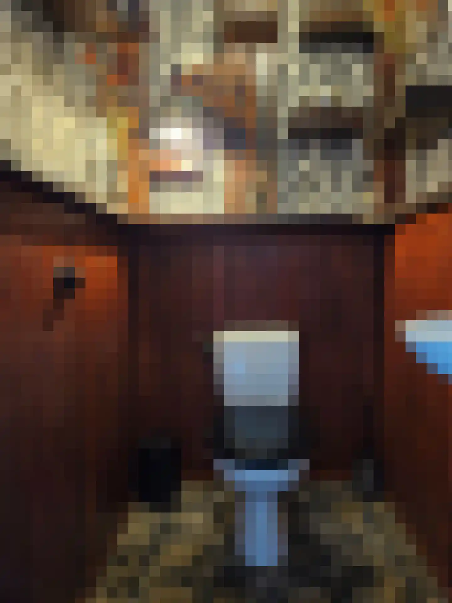 Hellewoudstraat 3 Ellewoutsdijk thumbnail 15