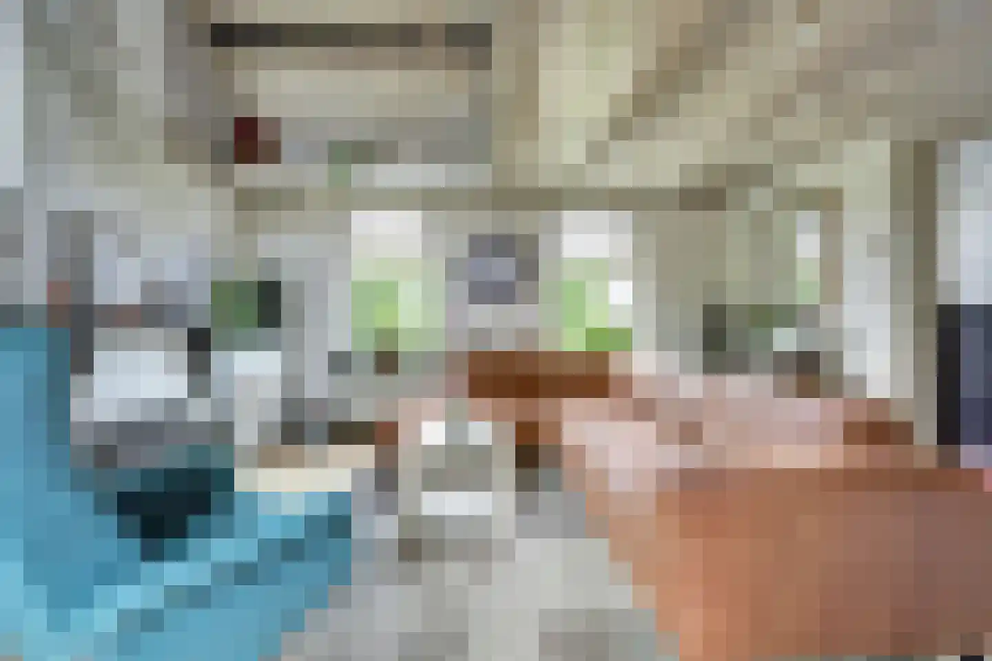 Hellewoudstraat 3 Ellewoutsdijk thumbnail 16