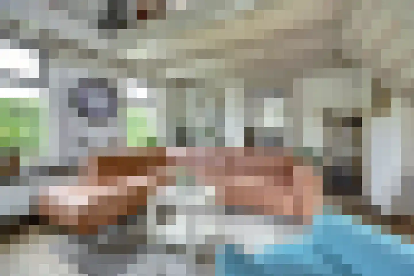 Hellewoudstraat 3 Ellewoutsdijk thumbnail 17