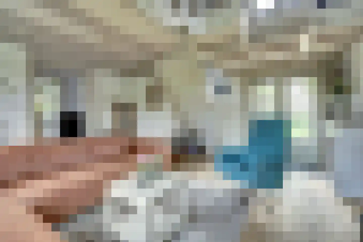 Hellewoudstraat 3 Ellewoutsdijk thumbnail 18