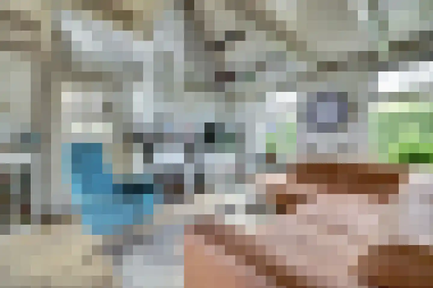 Hellewoudstraat 3 Ellewoutsdijk thumbnail 19