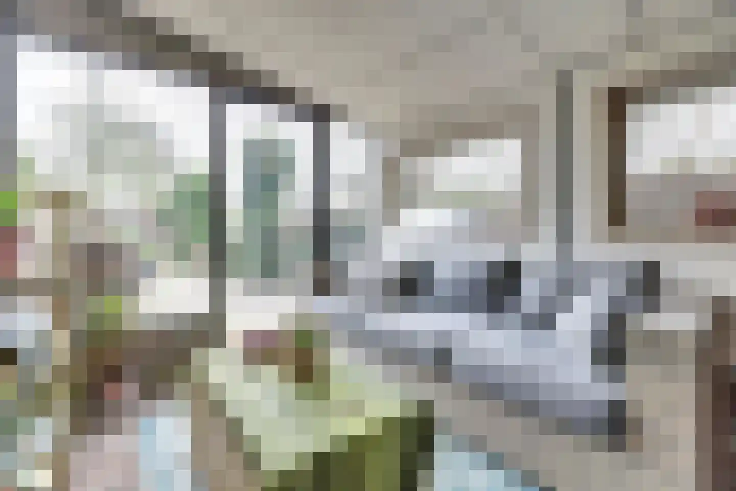 Hellewoudstraat 3 Ellewoutsdijk thumbnail 20