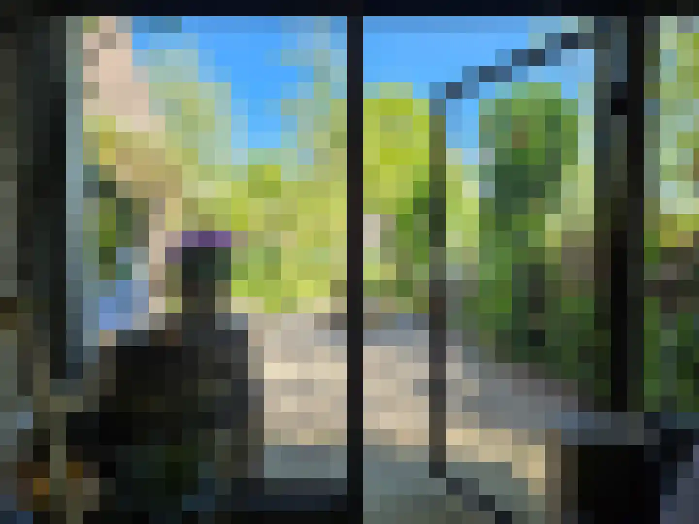 Hellewoudstraat 3 Ellewoutsdijk thumbnail 21