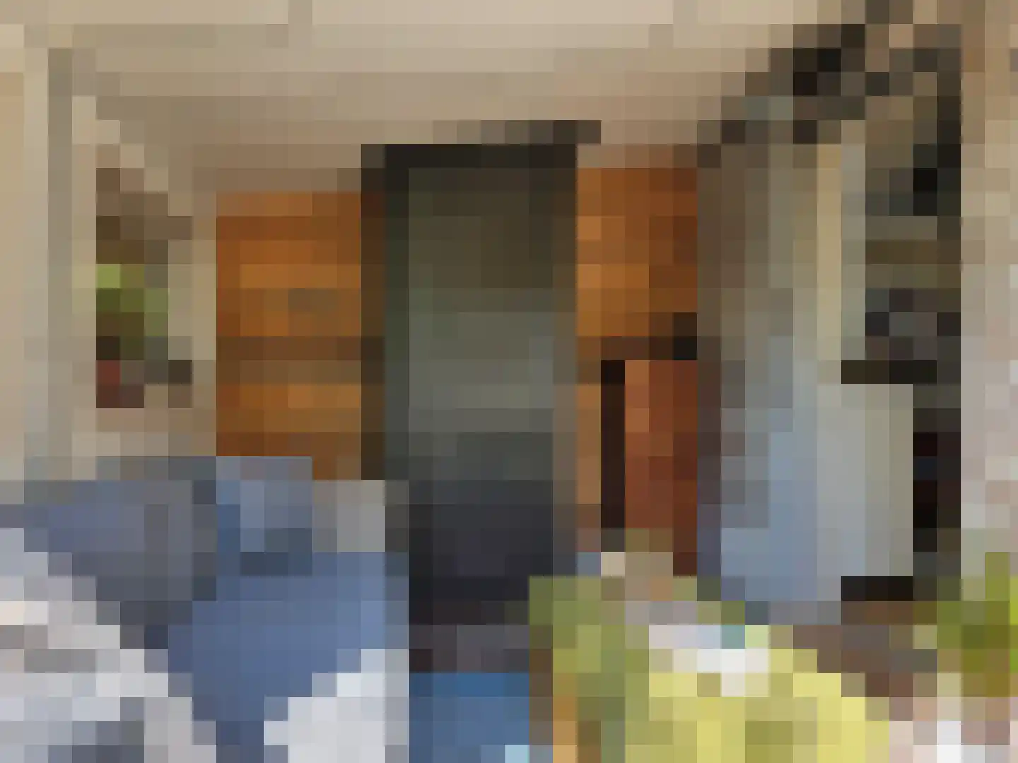 Hellewoudstraat 3 Ellewoutsdijk thumbnail 22
