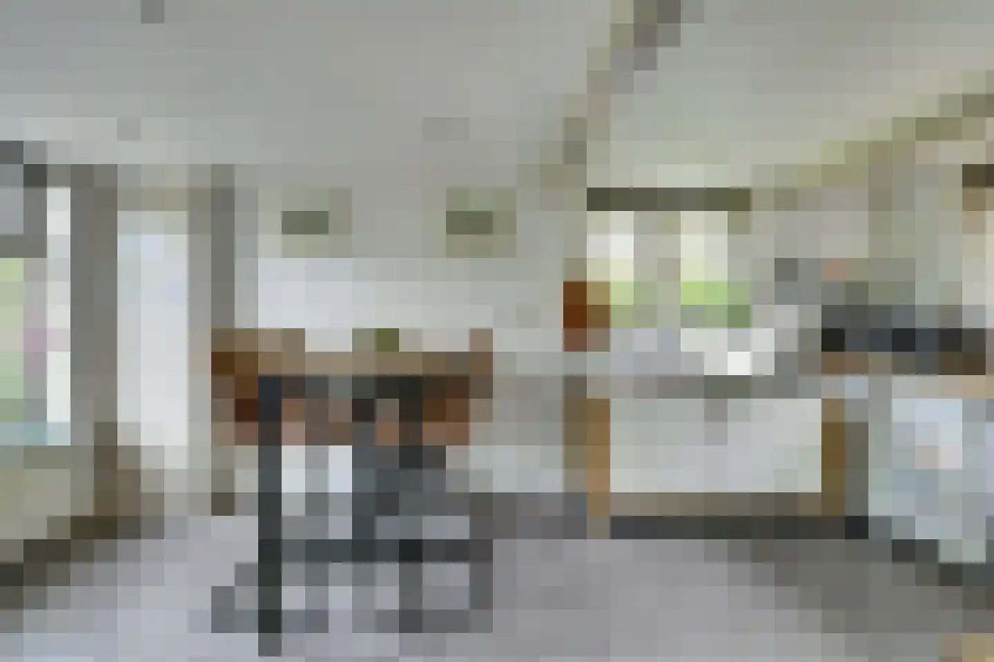 Hellewoudstraat 3 Ellewoutsdijk thumbnail 23