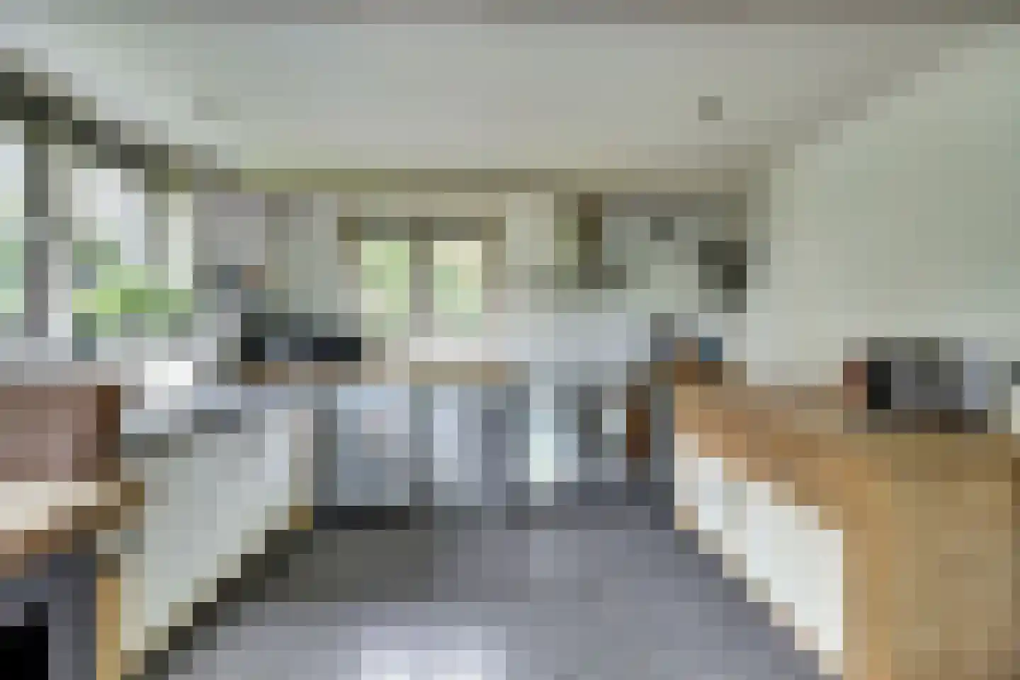 Hellewoudstraat 3 Ellewoutsdijk thumbnail 24