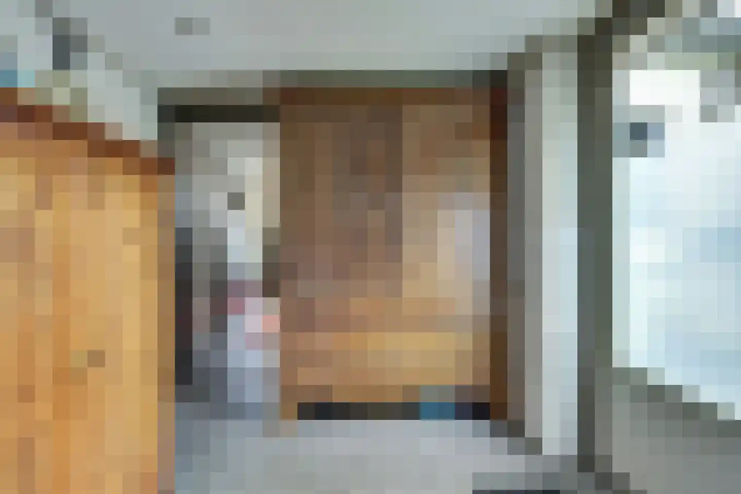 Hellewoudstraat 3 Ellewoutsdijk thumbnail 26