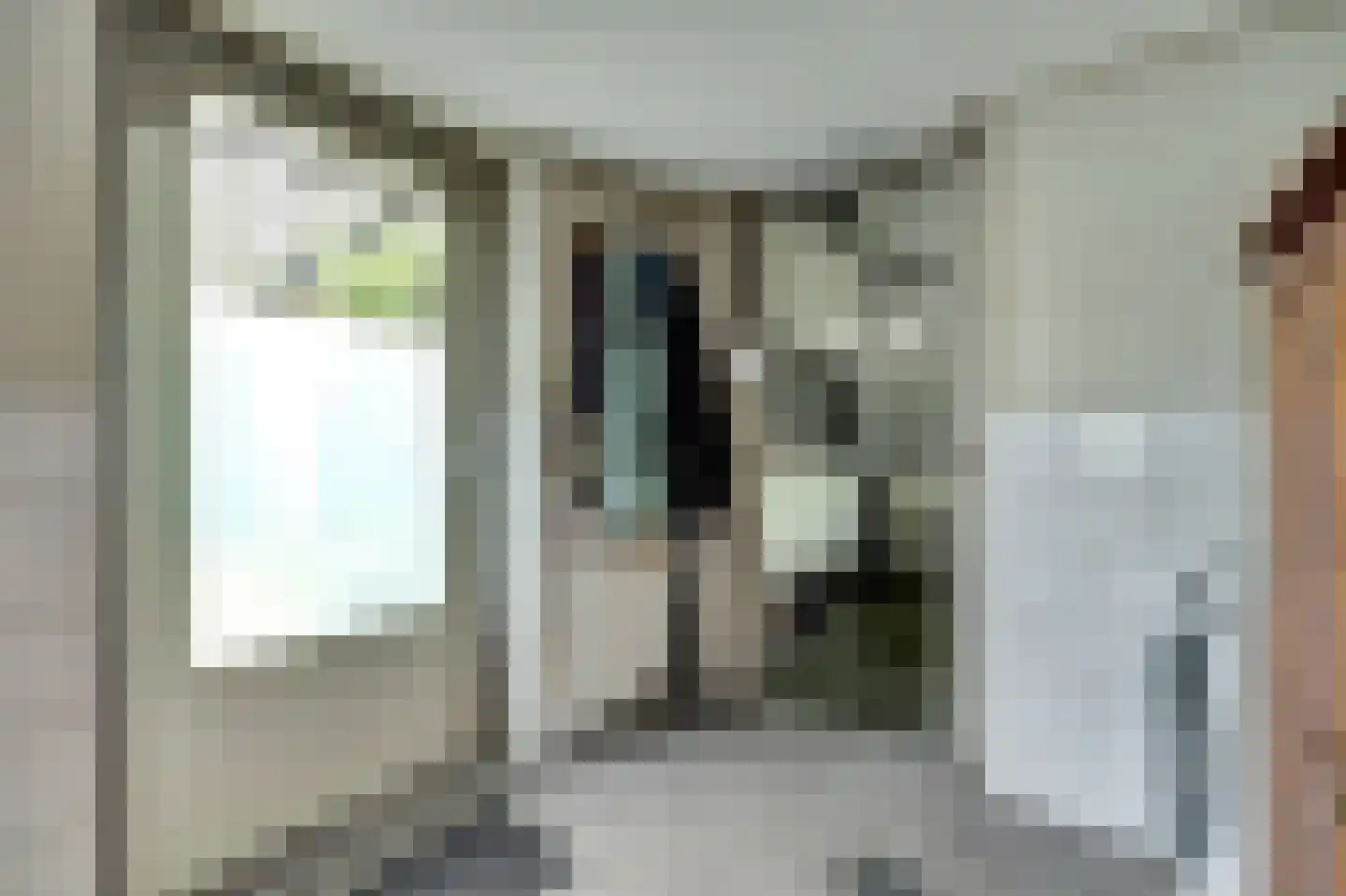 Hellewoudstraat 3 Ellewoutsdijk thumbnail 27