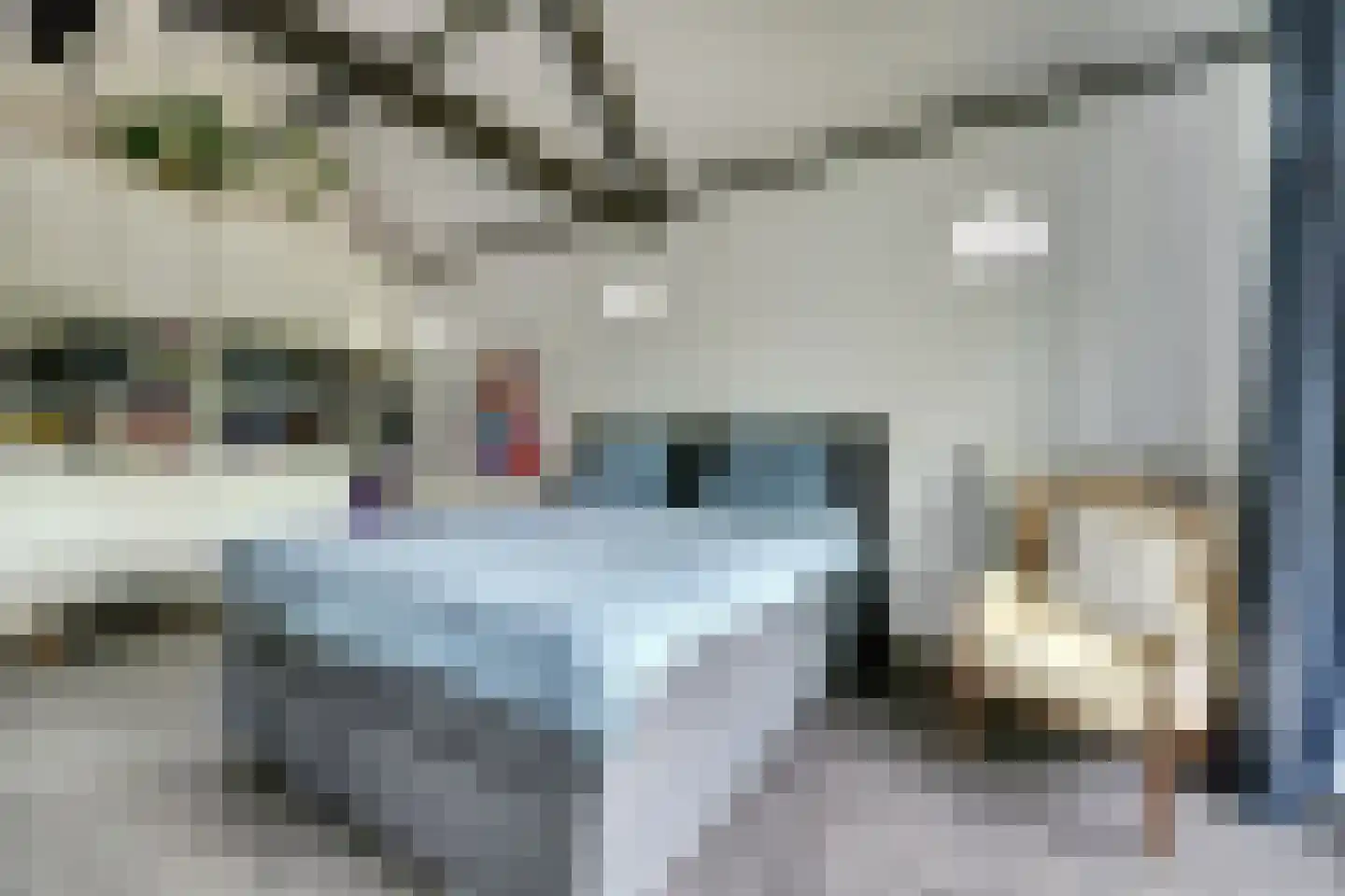 Hellewoudstraat 3 Ellewoutsdijk thumbnail 29