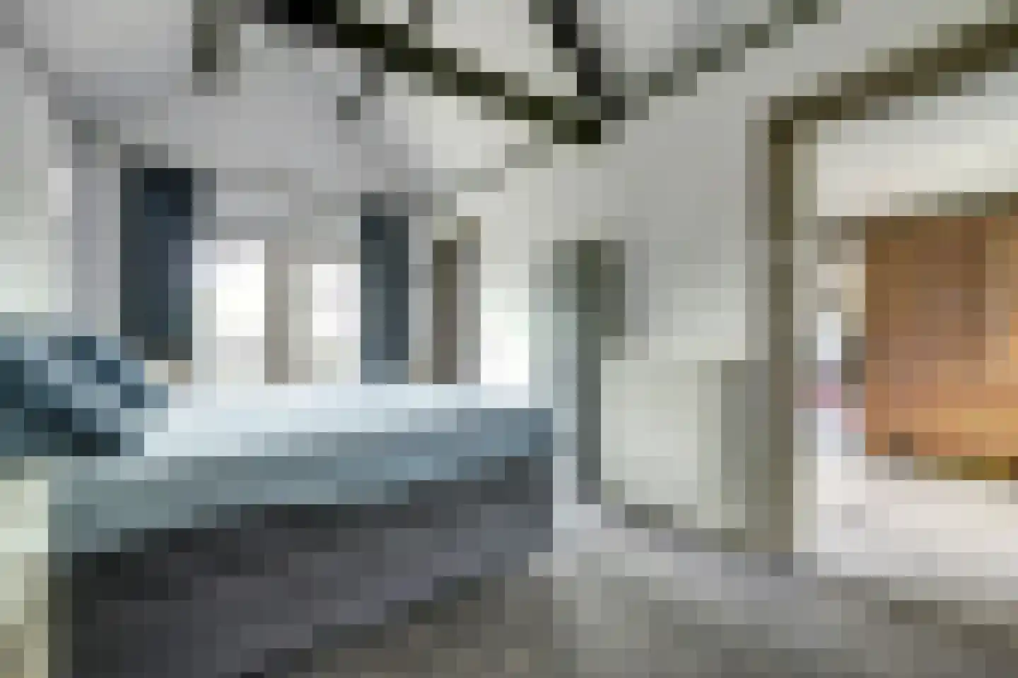 Hellewoudstraat 3 Ellewoutsdijk thumbnail 30