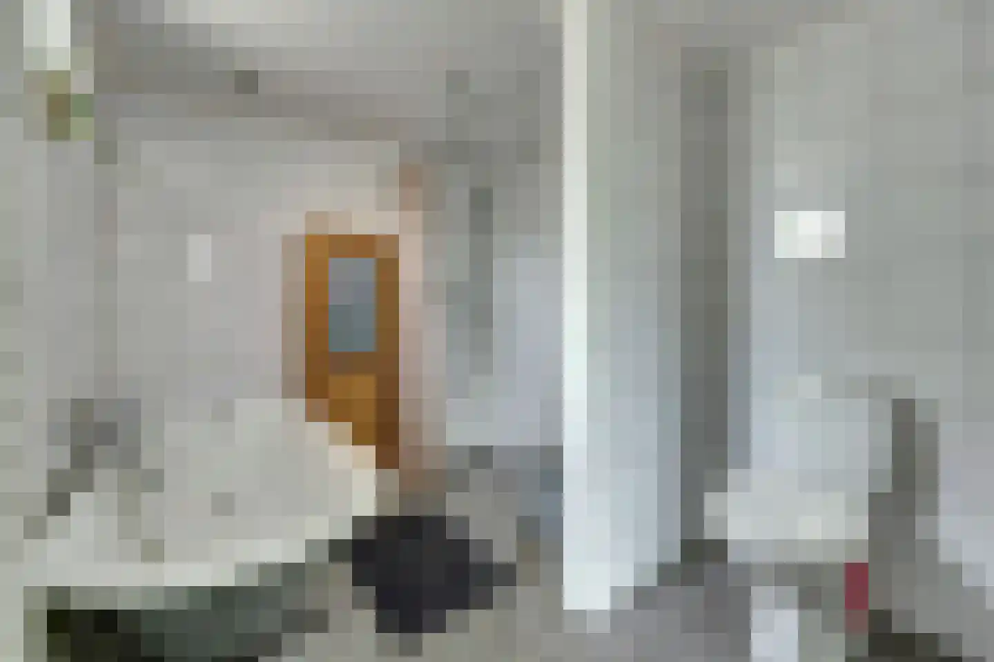 Hellewoudstraat 3 Ellewoutsdijk thumbnail 31