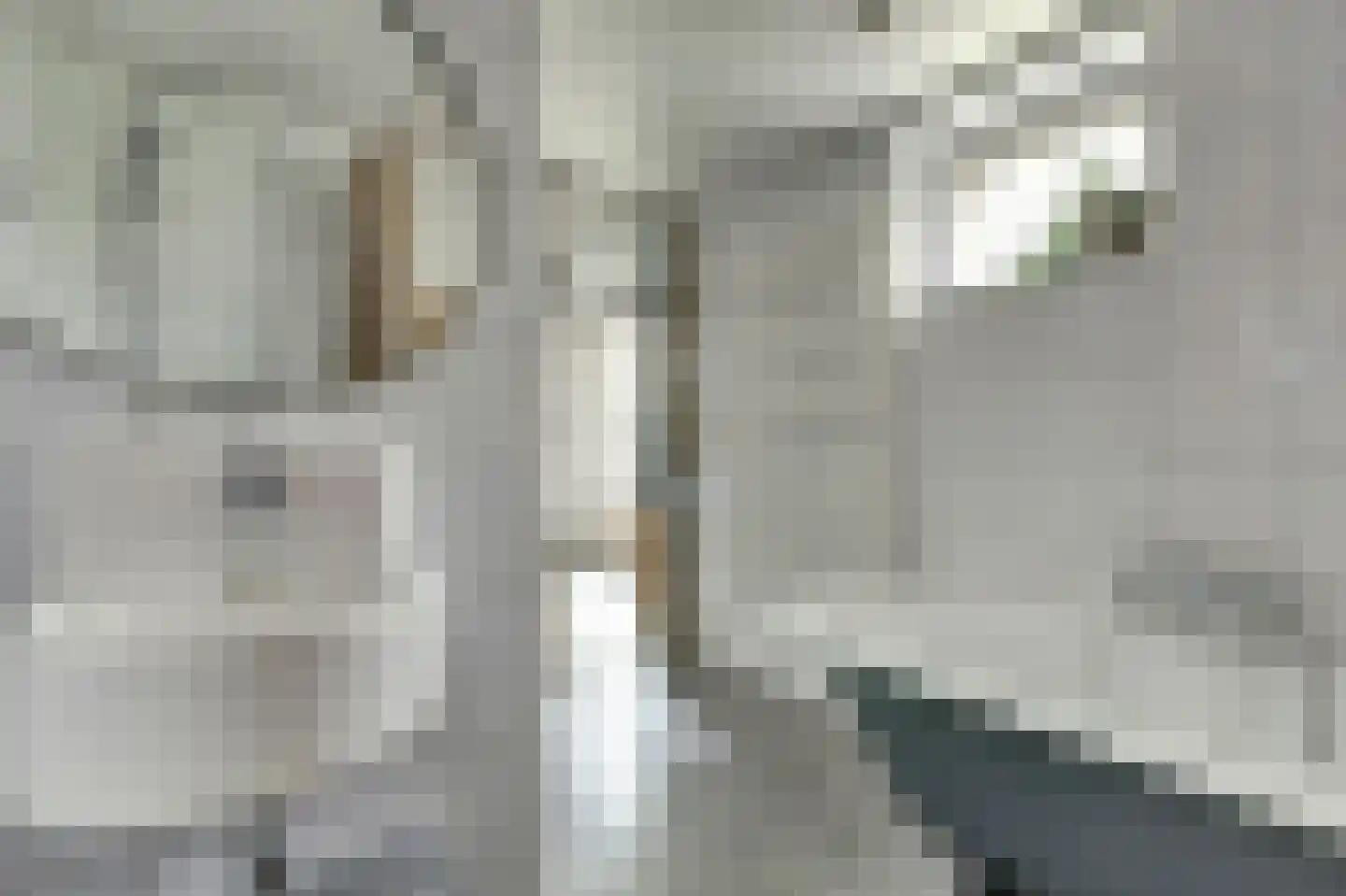 Hellewoudstraat 3 Ellewoutsdijk thumbnail 32