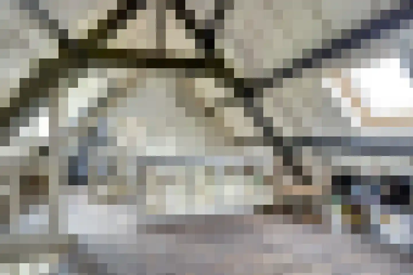 Hellewoudstraat 3 Ellewoutsdijk thumbnail 33