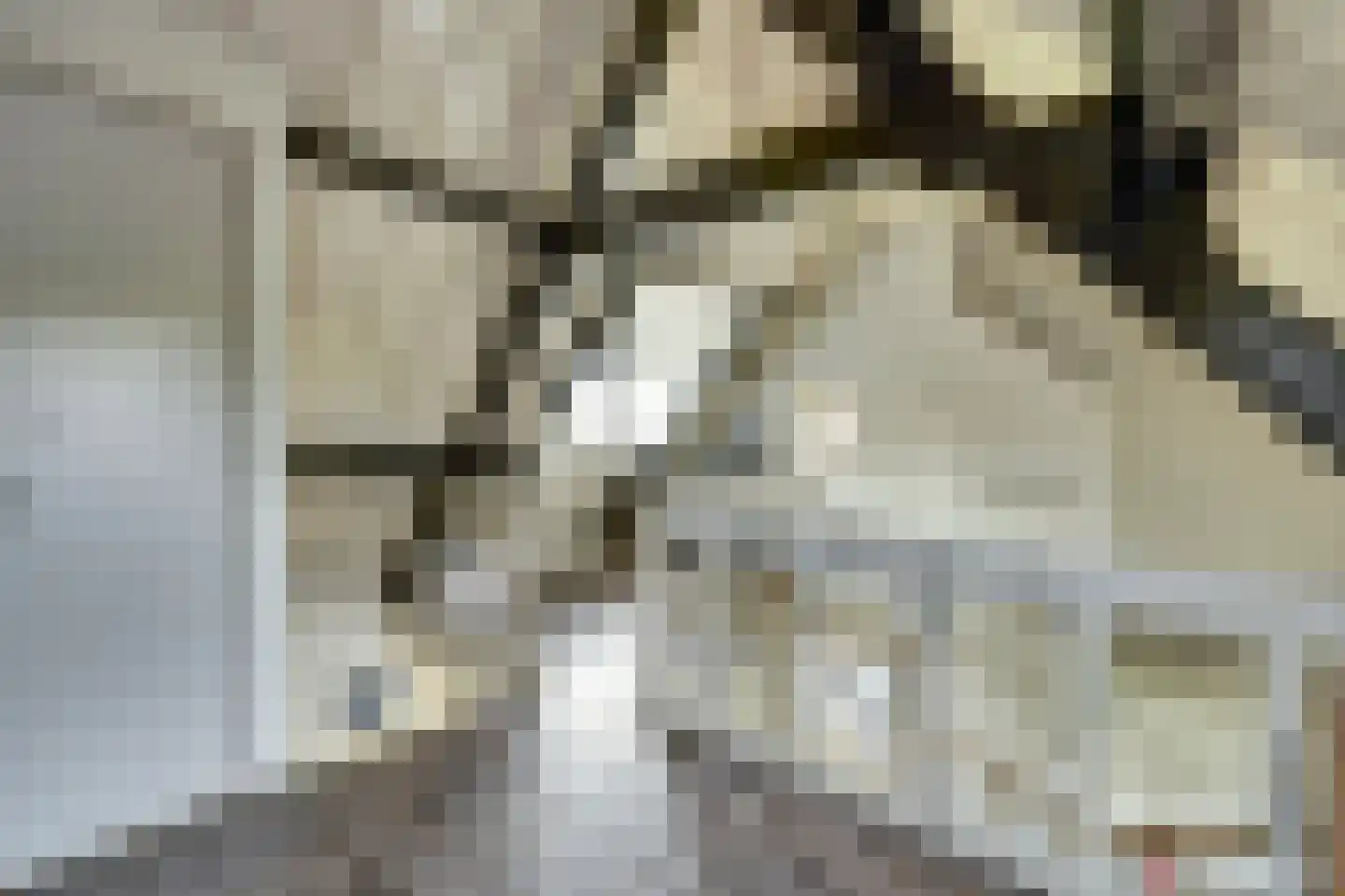 Hellewoudstraat 3 Ellewoutsdijk thumbnail 34