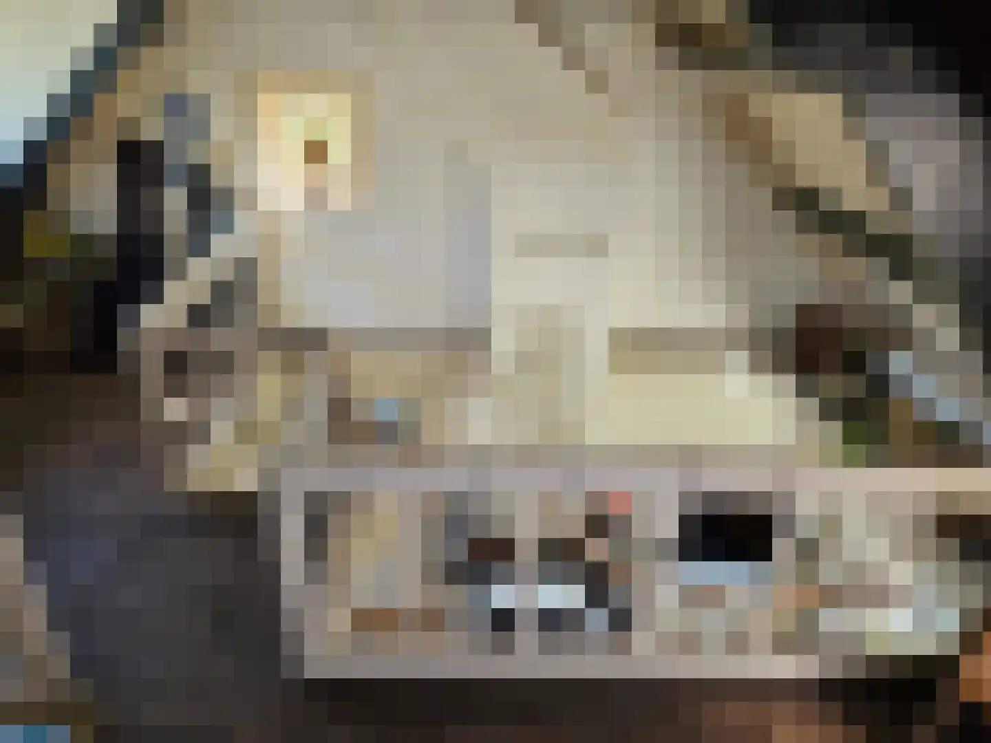 Hellewoudstraat 3 Ellewoutsdijk thumbnail 35