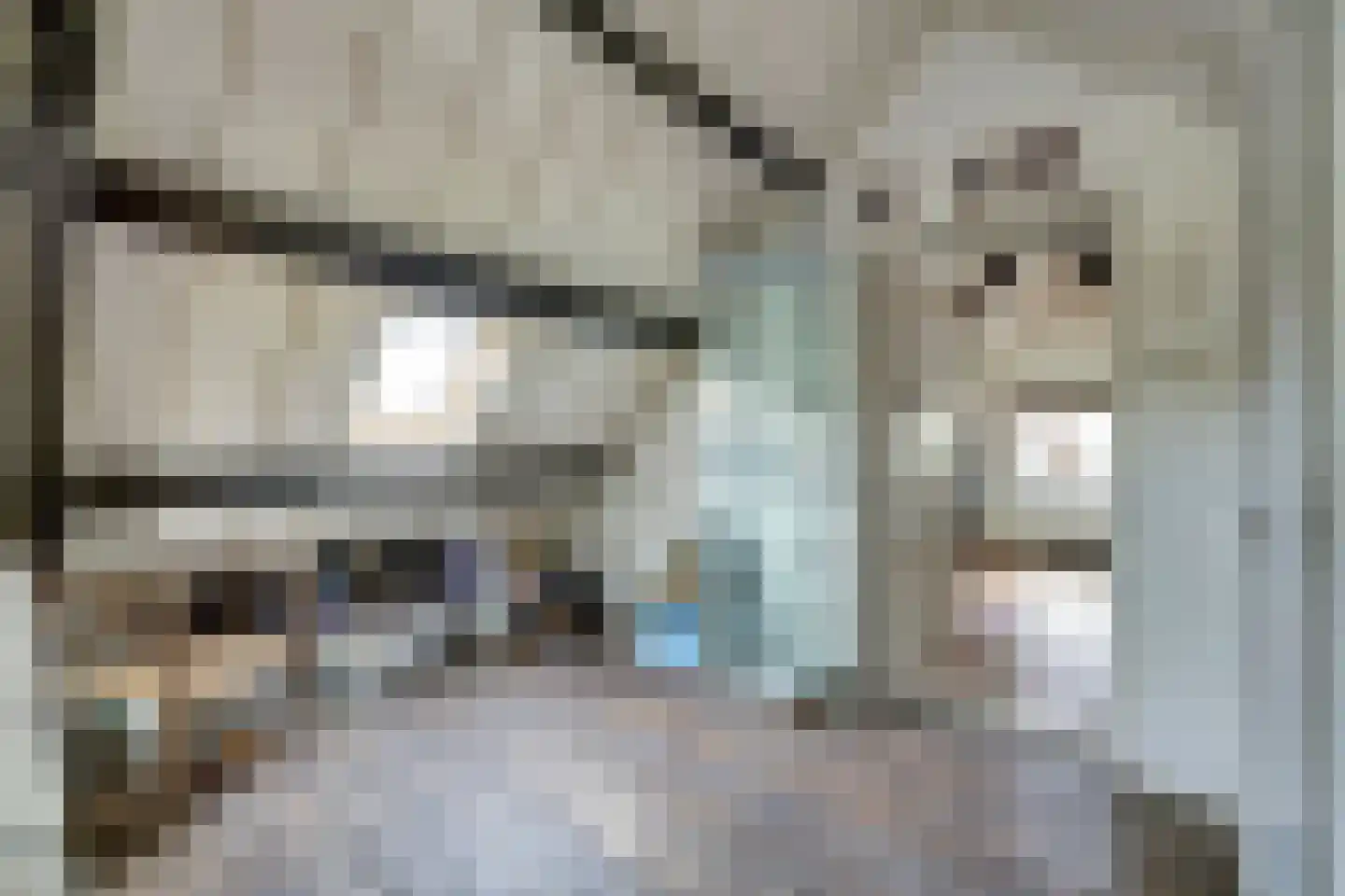 Hellewoudstraat 3 Ellewoutsdijk thumbnail 36