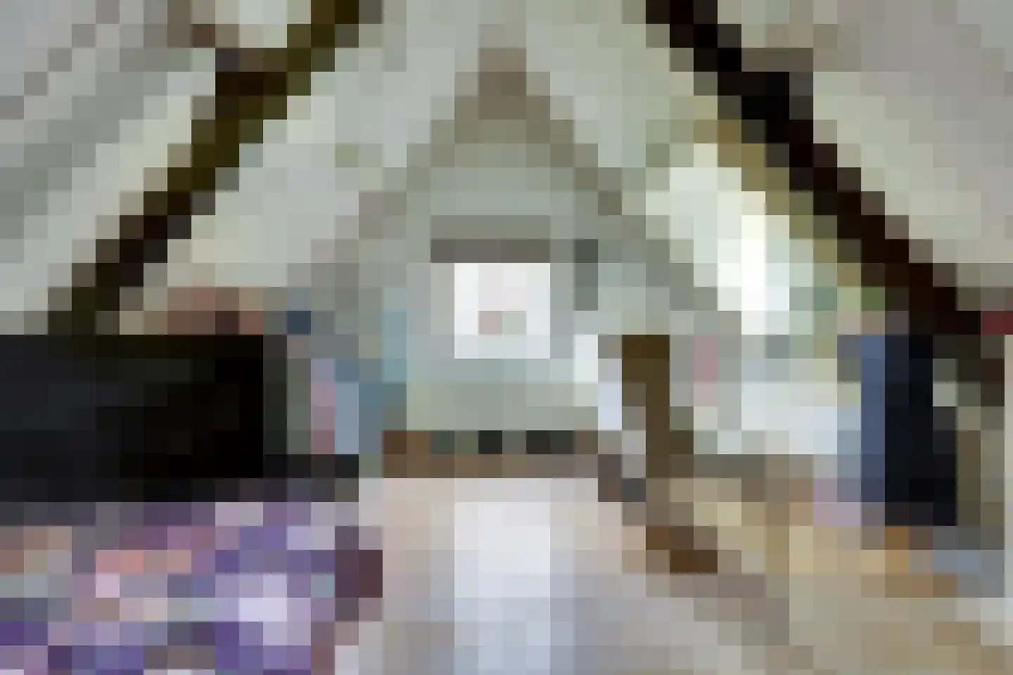 Hellewoudstraat 3 Ellewoutsdijk thumbnail 37