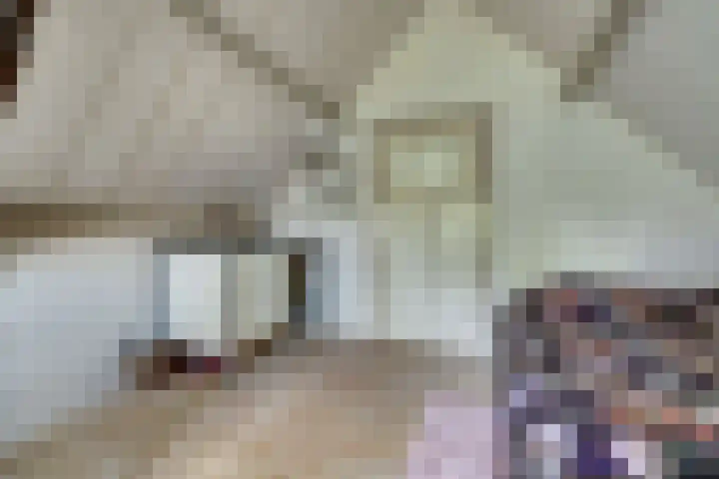 Hellewoudstraat 3 Ellewoutsdijk thumbnail 38