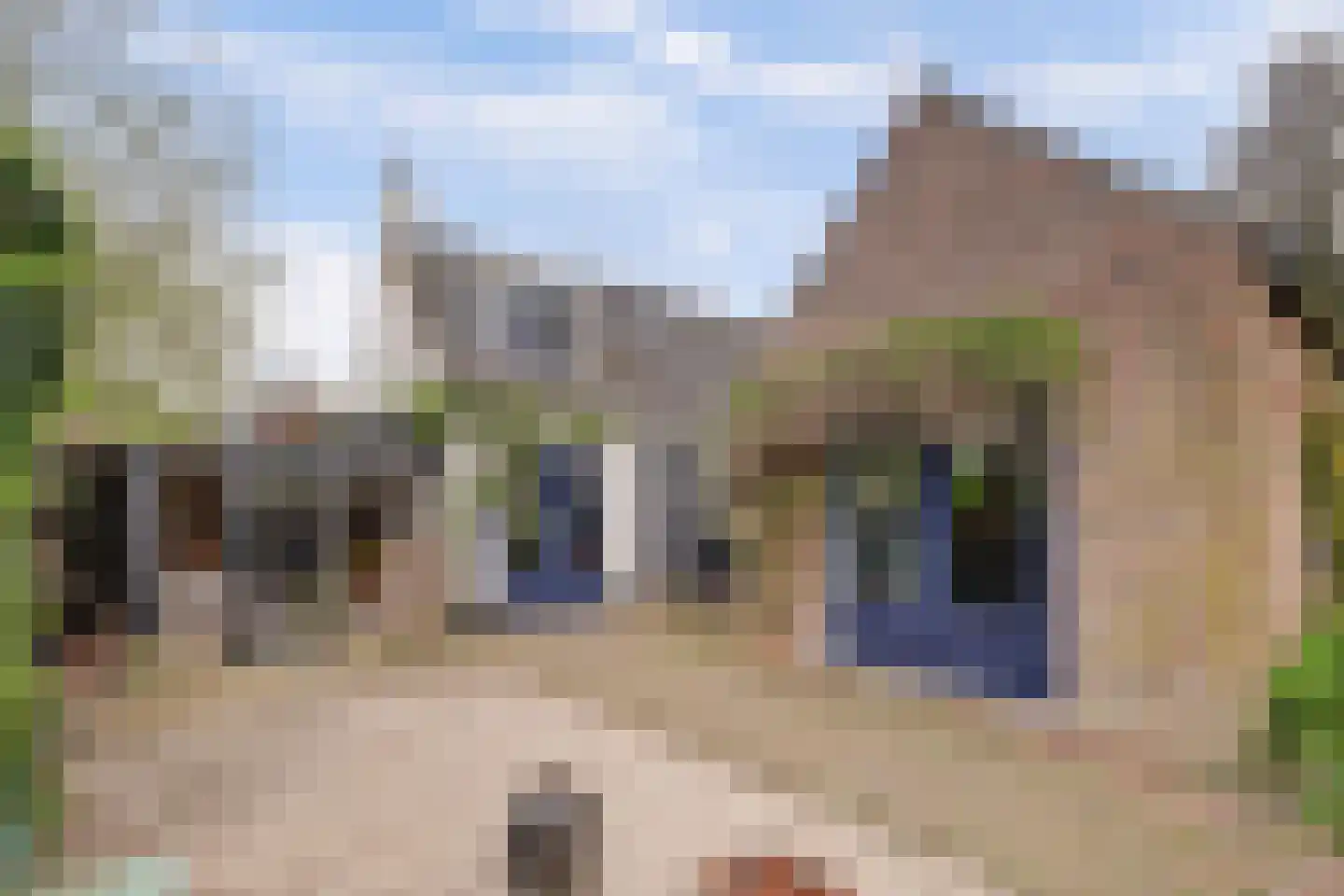 Hellewoudstraat 3 Ellewoutsdijk thumbnail 40
