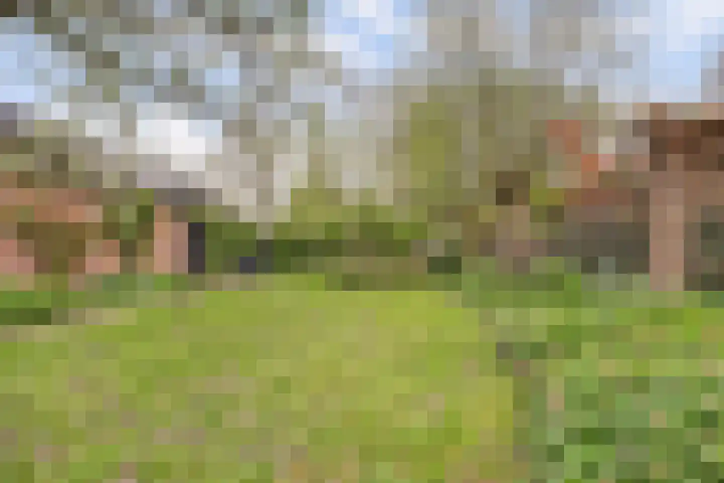 Hellewoudstraat 3 Ellewoutsdijk thumbnail 43