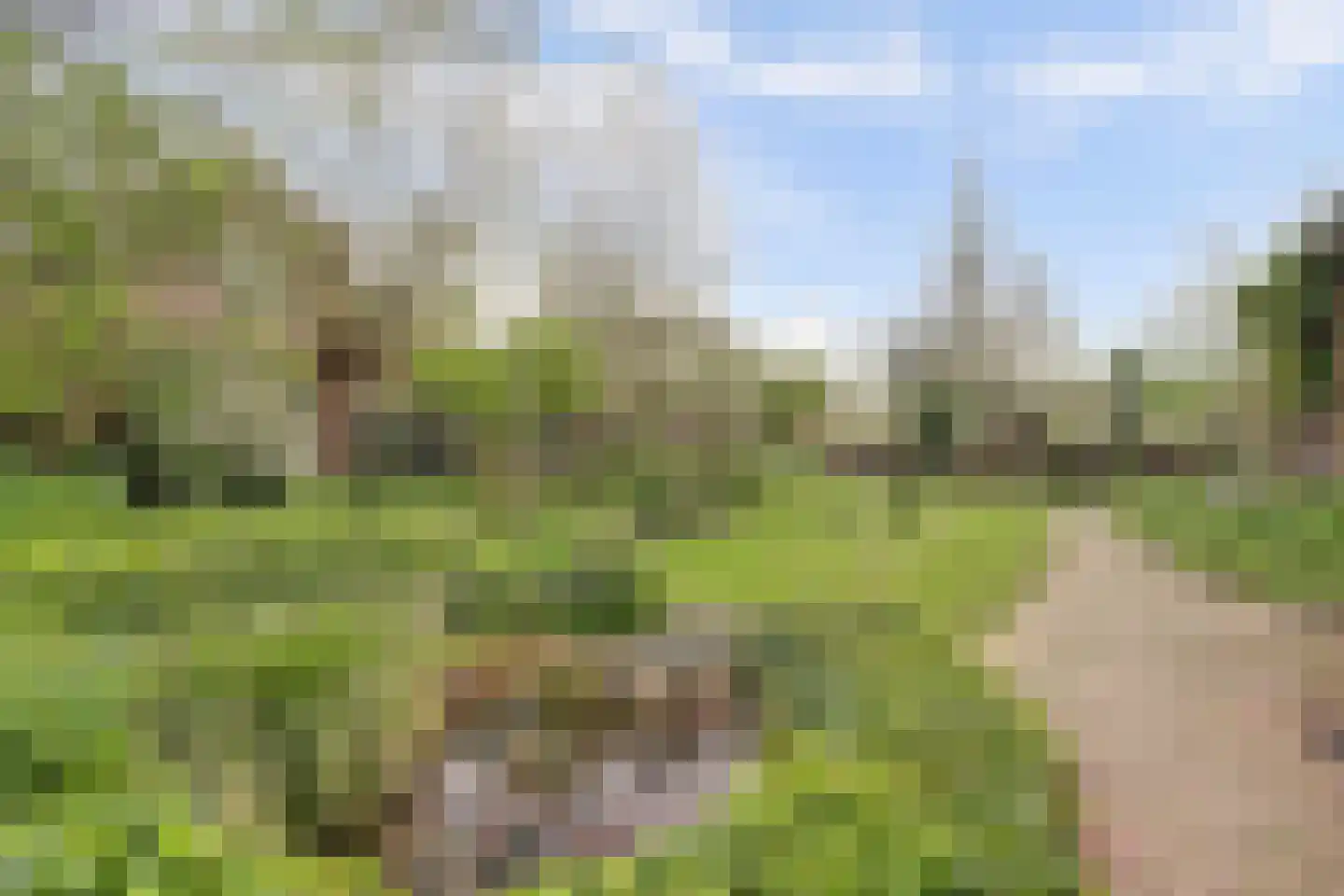 Hellewoudstraat 3 Ellewoutsdijk thumbnail 45
