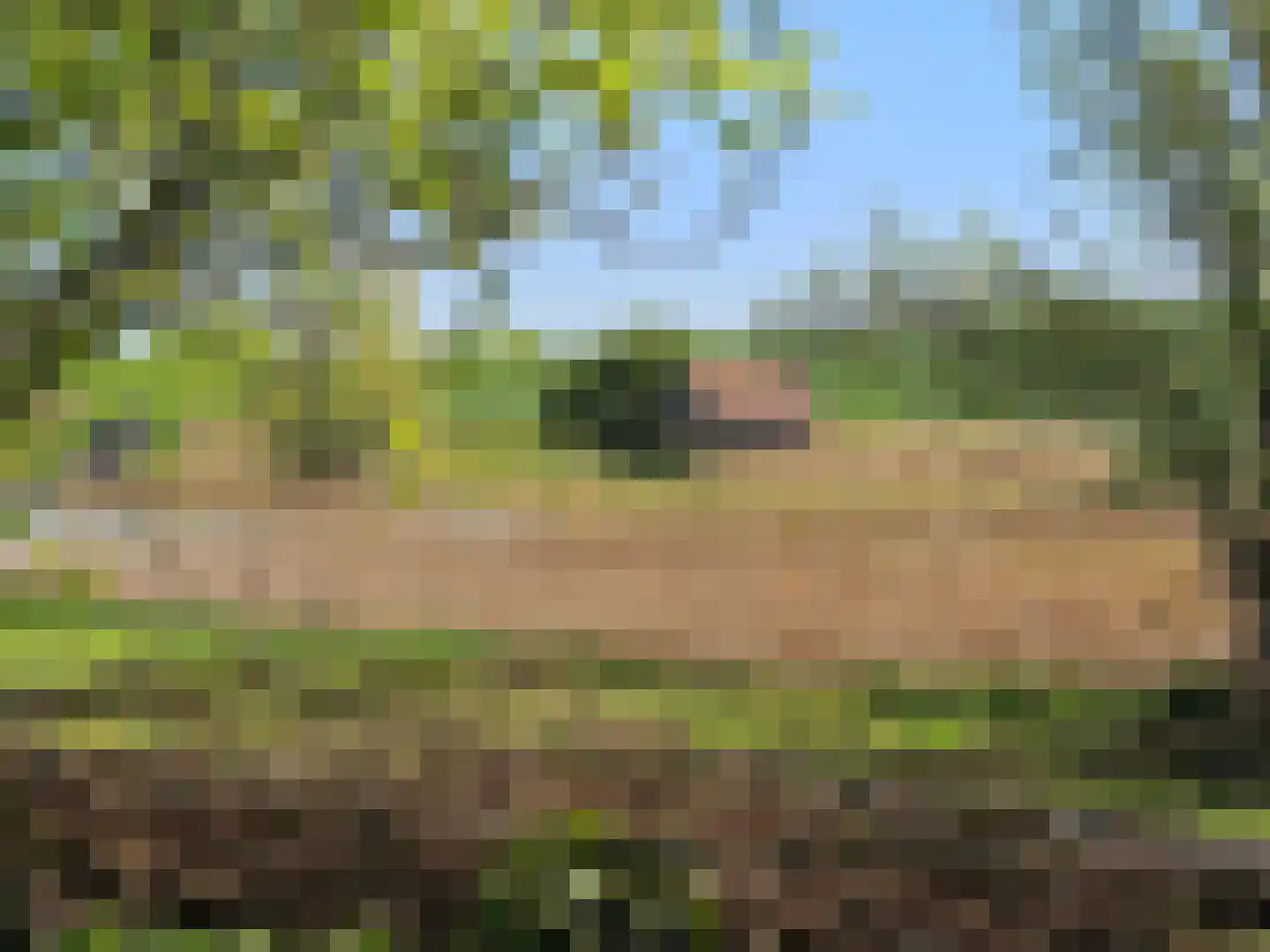 Hellewoudstraat 3 Ellewoutsdijk thumbnail 47
