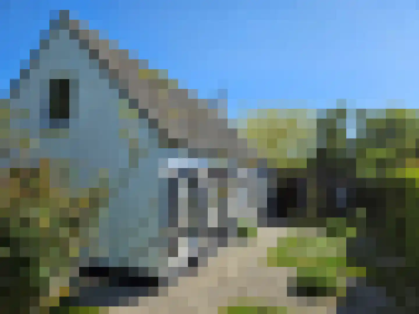 Hellewoudstraat 3 Ellewoutsdijk thumbnail 48