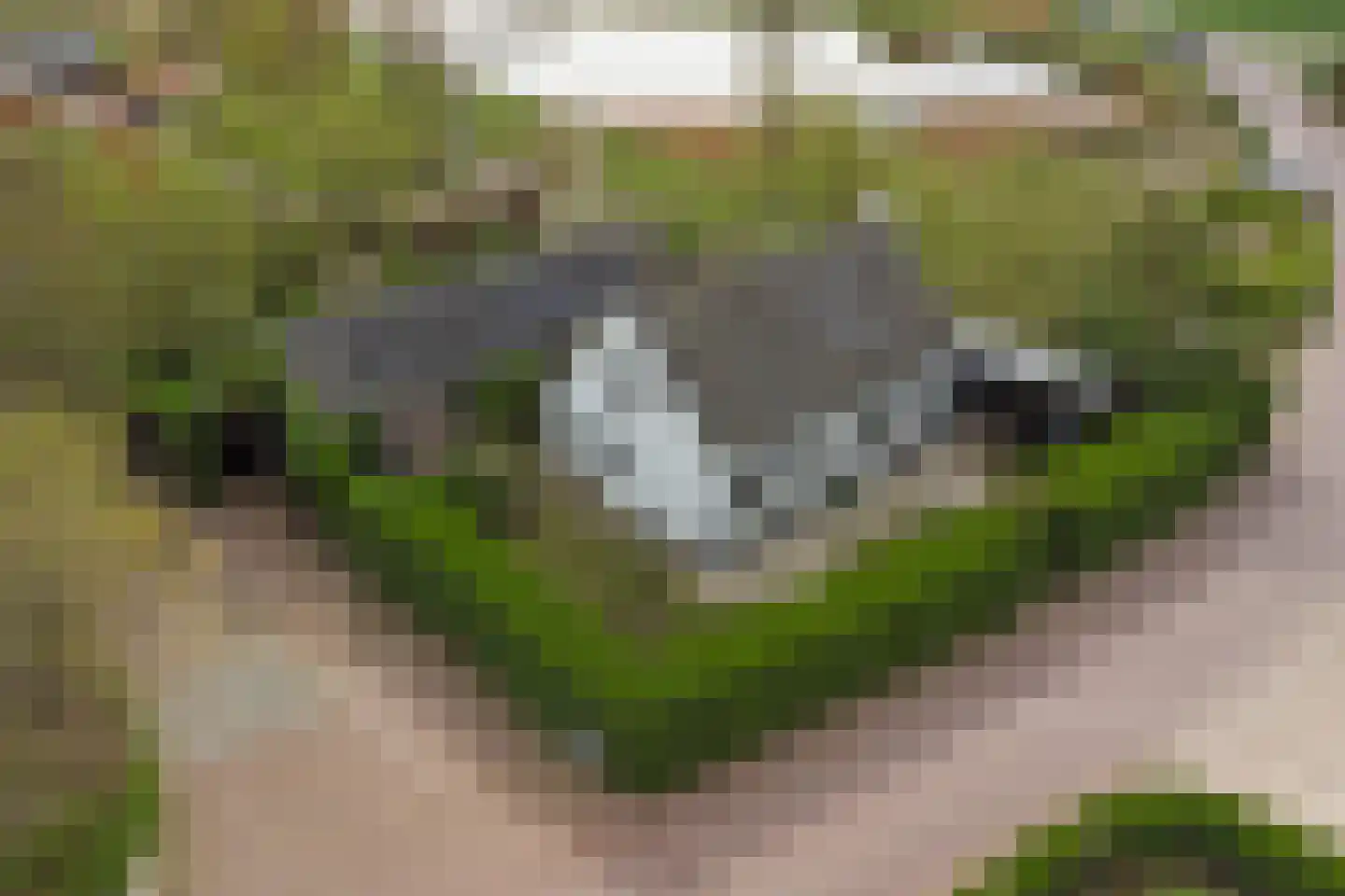 Hellewoudstraat 3 Ellewoutsdijk thumbnail 50
