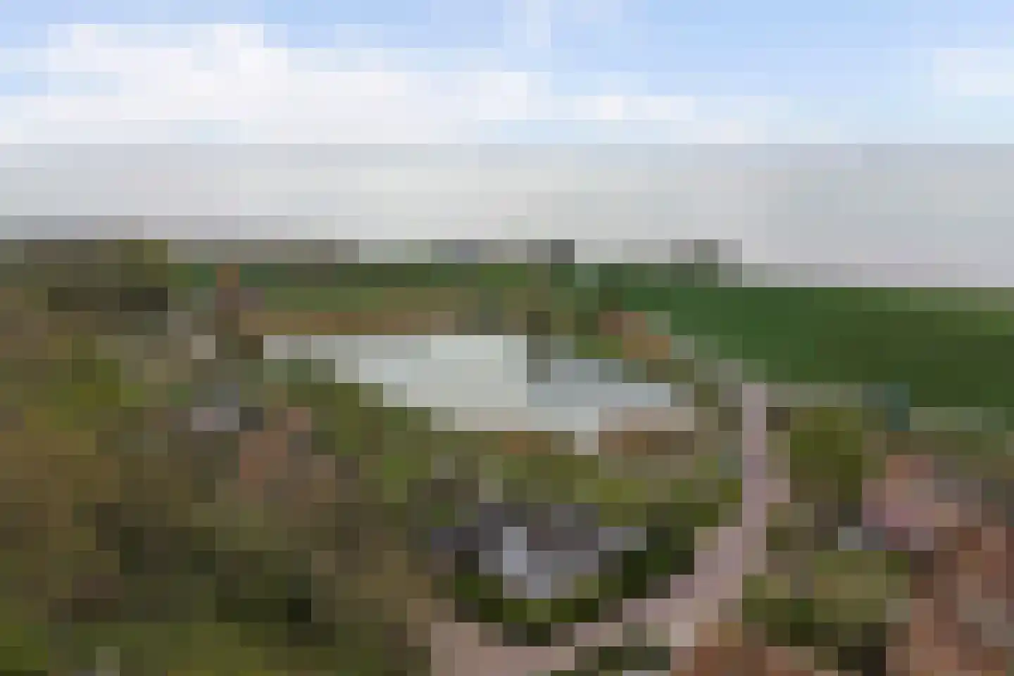 Hellewoudstraat 3 Ellewoutsdijk thumbnail 52